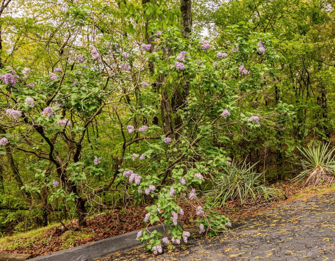 Autumn Creek Branson Motel Indian Point Luaran gambar